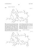 MACROCYCLIC INHIBITORS OF THE PD-1/PD-L1 AND CD80(B7-1)/PD-L1     PROTEIN/PROTEIN INTERACTIONS diagram and image