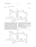 MACROCYCLIC INHIBITORS OF THE PD-1/PD-L1 AND CD80(B7-1)/PD-L1     PROTEIN/PROTEIN INTERACTIONS diagram and image