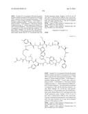 MACROCYCLIC INHIBITORS OF THE PD-1/PD-L1 AND CD80(B7-1)/PD-L1     PROTEIN/PROTEIN INTERACTIONS diagram and image