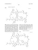 MACROCYCLIC INHIBITORS OF THE PD-1/PD-L1 AND CD80(B7-1)/PD-L1     PROTEIN/PROTEIN INTERACTIONS diagram and image