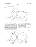 MACROCYCLIC INHIBITORS OF THE PD-1/PD-L1 AND CD80(B7-1)/PD-L1     PROTEIN/PROTEIN INTERACTIONS diagram and image