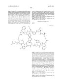 MACROCYCLIC INHIBITORS OF THE PD-1/PD-L1 AND CD80(B7-1)/PD-L1     PROTEIN/PROTEIN INTERACTIONS diagram and image