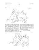 MACROCYCLIC INHIBITORS OF THE PD-1/PD-L1 AND CD80(B7-1)/PD-L1     PROTEIN/PROTEIN INTERACTIONS diagram and image