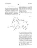 MACROCYCLIC INHIBITORS OF THE PD-1/PD-L1 AND CD80(B7-1)/PD-L1     PROTEIN/PROTEIN INTERACTIONS diagram and image