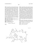 MACROCYCLIC INHIBITORS OF THE PD-1/PD-L1 AND CD80(B7-1)/PD-L1     PROTEIN/PROTEIN INTERACTIONS diagram and image