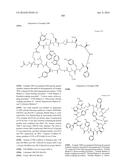 MACROCYCLIC INHIBITORS OF THE PD-1/PD-L1 AND CD80(B7-1)/PD-L1     PROTEIN/PROTEIN INTERACTIONS diagram and image