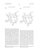 MACROCYCLIC INHIBITORS OF THE PD-1/PD-L1 AND CD80(B7-1)/PD-L1     PROTEIN/PROTEIN INTERACTIONS diagram and image