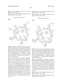 MACROCYCLIC INHIBITORS OF THE PD-1/PD-L1 AND CD80(B7-1)/PD-L1     PROTEIN/PROTEIN INTERACTIONS diagram and image