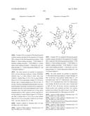 MACROCYCLIC INHIBITORS OF THE PD-1/PD-L1 AND CD80(B7-1)/PD-L1     PROTEIN/PROTEIN INTERACTIONS diagram and image