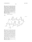 MACROCYCLIC INHIBITORS OF THE PD-1/PD-L1 AND CD80(B7-1)/PD-L1     PROTEIN/PROTEIN INTERACTIONS diagram and image