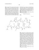 MACROCYCLIC INHIBITORS OF THE PD-1/PD-L1 AND CD80(B7-1)/PD-L1     PROTEIN/PROTEIN INTERACTIONS diagram and image