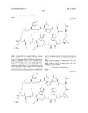 MACROCYCLIC INHIBITORS OF THE PD-1/PD-L1 AND CD80(B7-1)/PD-L1     PROTEIN/PROTEIN INTERACTIONS diagram and image