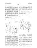 MACROCYCLIC INHIBITORS OF THE PD-1/PD-L1 AND CD80(B7-1)/PD-L1     PROTEIN/PROTEIN INTERACTIONS diagram and image