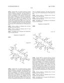 MACROCYCLIC INHIBITORS OF THE PD-1/PD-L1 AND CD80(B7-1)/PD-L1     PROTEIN/PROTEIN INTERACTIONS diagram and image