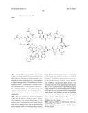 MACROCYCLIC INHIBITORS OF THE PD-1/PD-L1 AND CD80(B7-1)/PD-L1     PROTEIN/PROTEIN INTERACTIONS diagram and image