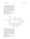 MACROCYCLIC INHIBITORS OF THE PD-1/PD-L1 AND CD80(B7-1)/PD-L1     PROTEIN/PROTEIN INTERACTIONS diagram and image