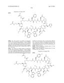 MACROCYCLIC INHIBITORS OF THE PD-1/PD-L1 AND CD80(B7-1)/PD-L1     PROTEIN/PROTEIN INTERACTIONS diagram and image