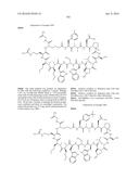 MACROCYCLIC INHIBITORS OF THE PD-1/PD-L1 AND CD80(B7-1)/PD-L1     PROTEIN/PROTEIN INTERACTIONS diagram and image