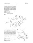 MACROCYCLIC INHIBITORS OF THE PD-1/PD-L1 AND CD80(B7-1)/PD-L1     PROTEIN/PROTEIN INTERACTIONS diagram and image