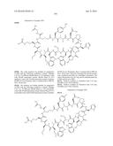 MACROCYCLIC INHIBITORS OF THE PD-1/PD-L1 AND CD80(B7-1)/PD-L1     PROTEIN/PROTEIN INTERACTIONS diagram and image