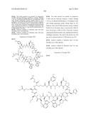 MACROCYCLIC INHIBITORS OF THE PD-1/PD-L1 AND CD80(B7-1)/PD-L1     PROTEIN/PROTEIN INTERACTIONS diagram and image