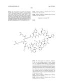 MACROCYCLIC INHIBITORS OF THE PD-1/PD-L1 AND CD80(B7-1)/PD-L1     PROTEIN/PROTEIN INTERACTIONS diagram and image