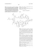 MACROCYCLIC INHIBITORS OF THE PD-1/PD-L1 AND CD80(B7-1)/PD-L1     PROTEIN/PROTEIN INTERACTIONS diagram and image