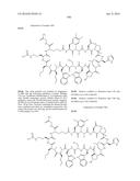 MACROCYCLIC INHIBITORS OF THE PD-1/PD-L1 AND CD80(B7-1)/PD-L1     PROTEIN/PROTEIN INTERACTIONS diagram and image