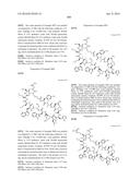 MACROCYCLIC INHIBITORS OF THE PD-1/PD-L1 AND CD80(B7-1)/PD-L1     PROTEIN/PROTEIN INTERACTIONS diagram and image