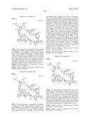 MACROCYCLIC INHIBITORS OF THE PD-1/PD-L1 AND CD80(B7-1)/PD-L1     PROTEIN/PROTEIN INTERACTIONS diagram and image