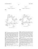 MACROCYCLIC INHIBITORS OF THE PD-1/PD-L1 AND CD80(B7-1)/PD-L1     PROTEIN/PROTEIN INTERACTIONS diagram and image