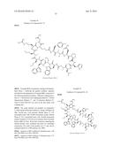 MACROCYCLIC INHIBITORS OF THE PD-1/PD-L1 AND CD80(B7-1)/PD-L1     PROTEIN/PROTEIN INTERACTIONS diagram and image