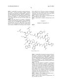 MACROCYCLIC INHIBITORS OF THE PD-1/PD-L1 AND CD80(B7-1)/PD-L1     PROTEIN/PROTEIN INTERACTIONS diagram and image