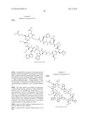 MACROCYCLIC INHIBITORS OF THE PD-1/PD-L1 AND CD80(B7-1)/PD-L1     PROTEIN/PROTEIN INTERACTIONS diagram and image