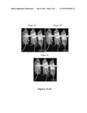 Messenger RNA Therapy for Treatment of Articular Disease diagram and image