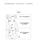 NOVEL NANOLIPOSOMES AND THEIR USE FOR THE TREATMENT OF AMYLOID PROTEIN     DISEASES diagram and image