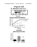 NOVEL NANOLIPOSOMES AND THEIR USE FOR THE TREATMENT OF AMYLOID PROTEIN     DISEASES diagram and image