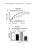 NOVEL NANOLIPOSOMES AND THEIR USE FOR THE TREATMENT OF AMYLOID PROTEIN     DISEASES diagram and image