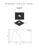 NOVEL NANOLIPOSOMES AND THEIR USE FOR THE TREATMENT OF AMYLOID PROTEIN     DISEASES diagram and image