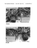 PLANT GROWTH MEDIUM diagram and image