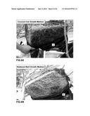 PLANT GROWTH MEDIUM diagram and image