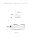 METHODS AND COMPOUNDS USEFUL IN CONDITIONS RELATED TO REPEAT EXPANSION diagram and image