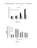 COMBINATION OF ESTROGENS PLUS ANTIPROGESTINS WITH SIGNIFICANT PARTIAL     AGONISTIC EFFECT AS AN EFFECTIVE TREATMENT OF MENOPAUSAL SYMPTOMS AND FOR     PREVENTION OF THE OCCURRENCE OF BREAST CANCER diagram and image