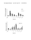 COMBINATION OF ESTROGENS PLUS ANTIPROGESTINS WITH SIGNIFICANT PARTIAL     AGONISTIC EFFECT AS AN EFFECTIVE TREATMENT OF MENOPAUSAL SYMPTOMS AND FOR     PREVENTION OF THE OCCURRENCE OF BREAST CANCER diagram and image