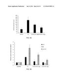 COMBINATION OF ESTROGENS PLUS ANTIPROGESTINS WITH SIGNIFICANT PARTIAL     AGONISTIC EFFECT AS AN EFFECTIVE TREATMENT OF MENOPAUSAL SYMPTOMS AND FOR     PREVENTION OF THE OCCURRENCE OF BREAST CANCER diagram and image