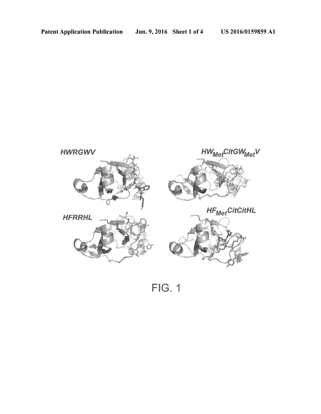 PROTEASE-RESISTANT PEPTIDE LIGANDS - diagram, schematic, and image 02