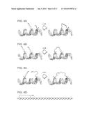 STABILIZED INSULINOTROPIC PEPTIDES AND METHODS OF USE diagram and image