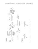 STABILIZED INSULINOTROPIC PEPTIDES AND METHODS OF USE diagram and image