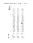 STABILIZED INSULINOTROPIC PEPTIDES AND METHODS OF USE diagram and image