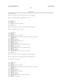 STABILIZED INSULINOTROPIC PEPTIDES AND METHODS OF USE diagram and image